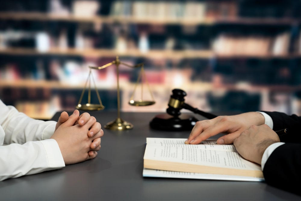 Litigation Process